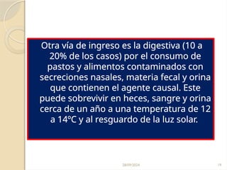 28/09/2024 19
Otra vía de ingreso es la digestiva (10 a
20% de los casos) por el consumo de
pastos y alimentos contaminados con
secreciones nasales, materia fecal y orina
que contienen el agente causal. Este
puede sobrevivir en heces, sangre y orina
cerca de un año a una temperatura de 12
a 14ºC y al resguardo de la luz solar.
 