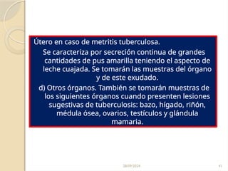 28/09/2024 41
Útero en caso de metritis tuberculosa.
Se caracteriza por secreción continua de grandes
cantidades de pus amarilla teniendo el aspecto de
leche cuajada. Se tomarán las muestras del órgano
y de este exudado.
d) Otros órganos. También se tomarán muestras de
los siguientes órganos cuando presenten lesiones
sugestivas de tuberculosis: bazo, hígado, riñón,
médula ósea, ovarios, testículos y glándula
mamaria.
 