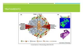 TRATAMIENTO
Current Opinion in Pharmacology 2018, 42:81–94
 