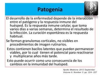 Patogenia
El desarrollo de la enfermedad depende de la interacción
   entre el patógeno y la respuesta inmune del
   huésped. Es la respuesta inmune celular, que toma
   varios días a varias semanas, determina el resultado de
   la infección. La curación espontánea es la respuesta
   habitual.
Se forman granulomas corticales, no visibles en
   procedimientos de imagen rutinarios.
Estos contienen bacilos latentes que pueden permanecer
   viables, por lo cual tienen el potencial para reactivarse
   y multiplicarse años más tarde.
Esto puede ocurrir como una consecuencia de los
   cambios en la inmunidad del huésped.
 