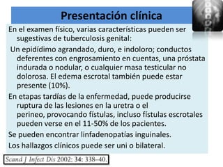 Presentación clínica
En el examen físico, varias características pueden ser
  sugestivas de tuberculosis genital:
 Un epidídimo agrandado, duro, e indoloro; conductos
  deferentes con engrosamiento en cuentas, una próstata
  indurada o nodular, o cualquier masa testicular no
  dolorosa. El edema escrotal también puede estar
  presente (10%).
En etapas tardías de la enfermedad, puede producirse
  ruptura de las lesiones en la uretra o el
  perineo, provocando fístulas, incluso fístulas escrotales
  pueden verse en el 11-50% de los pacientes.
Se pueden encontrar linfadenopatías inguinales.
Los hallazgos clínicos puede ser uni o bilateral.
 
