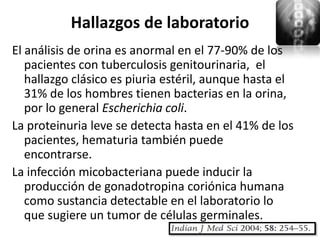Hallazgos de laboratorio
El análisis de orina es anormal en el 77-90% de los
   pacientes con tuberculosis genitourinaria, el
   hallazgo clásico es piuria estéril, aunque hasta el
   31% de los hombres tienen bacterias en la orina,
   por lo general Escherichia coli.
La proteinuria leve se detecta hasta en el 41% de los
   pacientes, hematuria también puede
   encontrarse.
La infección micobacteriana puede inducir la
   producción de gonadotropina coriónica humana
   como sustancia detectable en el laboratorio lo
   que sugiere un tumor de células germinales.
 