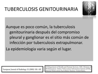 TUBERCULOSIS GENITOURINARIA


Aunque es poco común, la tuberculosis
  genitourinaria después del compromiso
  pleural y ganglionar es el sitio más común de
  infección por tuberculosis extrapulmonar.
La epidemiologia varia según el lugar.
 