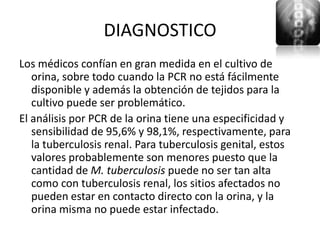 DIAGNOSTICO
Los médicos confían en gran medida en el cultivo de
   orina, sobre todo cuando la PCR no está fácilmente
   disponible y además la obtención de tejidos para la
   cultivo puede ser problemático.
El análisis por PCR de la orina tiene una especificidad y
   sensibilidad de 95,6% y 98,1%, respectivamente, para
   la tuberculosis renal. Para tuberculosis genital, estos
   valores probablemente son menores puesto que la
   cantidad de M. tuberculosis puede no ser tan alta
   como con tuberculosis renal, los sitios afectados no
   pueden estar en contacto directo con la orina, y la
   orina misma no puede estar infectado.
 