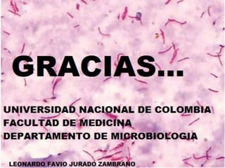 Tuberculosis genitourinaria y abdominal.