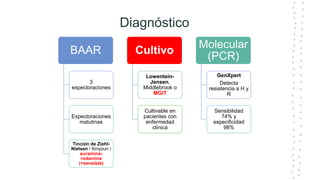 Diagnóstico
BAAR
3
expectoraciones
Expectoraciones
matutinas
Tinción de Ziehl-
Nielsen / Kinyoun /
auramina-
rodamina
(+sensible)
Cultivo
Lowentein-
Jensen,
Middlebrook o
MGIT
Cultivable en
pacientes con
enfermedad
clínica
Molecular
(PCR)
GenXpert
Detecta
resistencia a H y
R
Sensibilidad
74% y
especificidad
98%
 