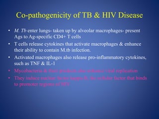 Co-pathogenicity of TB & HIV Disease
• M. Tb enter lungs- taken up by alveolar macrophages- present
Ags to Ag-specific CD4+ T cells
• T cells release cytokines that activate macrophages & enhance
their ability to contain M.tb infection.
• Activated macrophages also release pro-inflammatory cytokines,
such as TNF & IL-1
• Mycobacteria & their products also enhance viral replication
• They induce nuclear factor kappa-B, the cellular factor that binds
to promoter regions of HIV
 