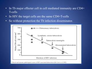 • In Tb major effecter cell in cell mediated immunity are CD4+
T-cells
• In HIV the target cells are the same CD4+T-cells
• So without protection the Tb infection disseminates
 