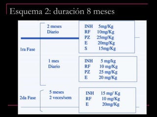 Esquema 2: duración 8 meses
 