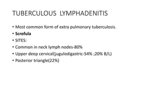 TUBERCULOUS LYMPHADENITIS
• Most common form of extra pulmonary tuberculosis.
• Scrofula
• SITES:
• Common in neck lymph nodes-80%
• Upper deep cervical(jugulodigastric-54% ;20% B/L)
• Posterior triangle(22%)
 