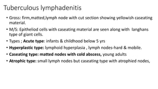 Tuberculous lymphadenitis
• Gross: firm,matted,lymph node with cut section showing yellowish caseating
material.
• M/S: Epitheliod cells with caseating material are seen along with langhans
type of giant cells.
• Types ; Acute type: infants & childhood below 5 yrs
• Hyperplastic type: lymphoid hyperplasia , lymph nodes-hard & mobile.
• Caseating type: matted nodes with cold abscess, young adults
• Atrophic type: small lymph nodes but caseating type with atrophied nodes,
 