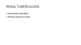 RENAL TUBERCULOSIS
• Commonly secondary
• Primary may be in lung
 