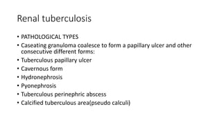 Renal tuberculosis
• PATHOLOGICAL TYPES
• Caseating granuloma coalesce to form a papillary ulcer and other
consecutive different forms:
• Tuberculous papillary ulcer
• Cavernous form
• Hydronephrosis
• Pyonephrosis
• Tuberculous perinephric abscess
• Calcified tuberculous area(pseudo calculi)
 