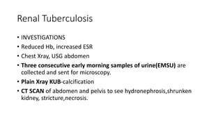 Renal Tuberculosis
• INVESTIGATIONS
• Reduced Hb, increased ESR
• Chest Xray, USG abdomen
• Three consecutive early morning samples of urine(EMSU) are
collected and sent for microscopy.
• Plain Xray KUB-calcification
• CT SCAN of abdomen and pelvis to see hydronephrosis,shrunken
kidney, stricture,necrosis.
 