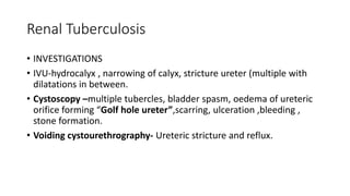 Renal Tuberculosis
• INVESTIGATIONS
• IVU-hydrocalyx , narrowing of calyx, stricture ureter (multiple with
dilatations in between.
• Cystoscopy –multiple tubercles, bladder spasm, oedema of ureteric
orifice forming “Golf hole ureter”,scarring, ulceration ,bleeding ,
stone formation.
• Voiding cystourethrography- Ureteric stricture and reflux.
 