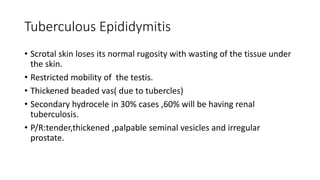 Tuberculous Epididymitis
• Scrotal skin loses its normal rugosity with wasting of the tissue under
the skin.
• Restricted mobility of the testis.
• Thickened beaded vas( due to tubercles)
• Secondary hydrocele in 30% cases ,60% will be having renal
tuberculosis.
• P/R:tender,thickened ,palpable seminal vesicles and irregular
prostate.
 
