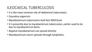 ILEOCAECAL TUBERCULOSIS
• It is the most common site of abdominal tuberculosis .
• Causative organism:
• Mycobacterium tuberculosis-Acid fast 20%h2so4.
• It is presently due to mycobacterium tuberculosis ,earlier used to be
due to mycobacterium bovis.
• Atypical mycobacterium can spread directly.
• Mycobacterium avium spreads through lymphatics.
 
