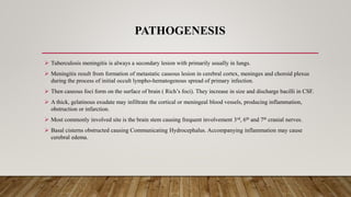 PATHOGENESIS
 Tuberculosis meningitis is always a secondary lesion with primarily usually in lungs.
 Meningitis result from formation of metastatic caseous lesion in cerebral cortex, meninges and choroid plexus
during the process of initial occult lympho-hematogenous spread of primary infection.
 Then caseous foci form on the surface of brain ( Rich’s foci). They increase in size and discharge bacilli in CSF.
 A thick, gelatinous exudate may infiltrate the cortical or meningeal blood vessels, producing inflammation,
obstruction or infarction.
 Most commonly involved site is the brain stem causing frequent involvement 3rd, 6th and 7th cranial nerves.
 Basal cisterns obstructed causing Communicating Hydrocephalus. Accompanying inflammation may cause
cerebral edema.
 