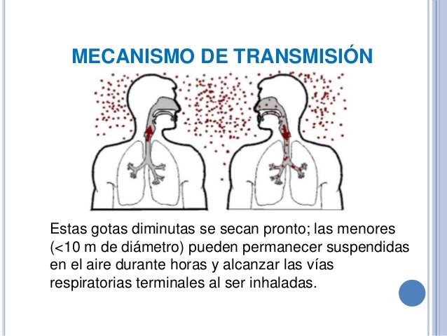 Resultado de imagen para transmision tuberculosis de la tuberculosis