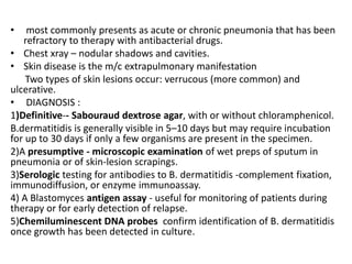 • most commonly presents as acute or chronic pneumonia that has been
refractory to therapy with antibacterial drugs.
• Chest xray – nodular shadows and cavities.
• Skin disease is the m/c extrapulmonary manifestation
Two types of skin lesions occur: verrucous (more common) and
ulcerative.
• DIAGNOSIS :
1)Definitive-- Sabouraud dextrose agar, with or without chloramphenicol.
B.dermatitidis is generally visible in 5–10 days but may require incubation
for up to 30 days if only a few organisms are present in the specimen.
2)A presumptive - microscopic examination of wet preps of sputum in
pneumonia or of skin-lesion scrapings.
3)Serologic testing for antibodies to B. dermatitidis -complement fixation,
immunodiffusion, or enzyme immunoassay.
4) A Blastomyces antigen assay - useful for monitoring of patients during
therapy or for early detection of relapse.
5)Chemiluminescent DNA probes confirm identification of B. dermatitidis
once growth has been detected in culture.
 