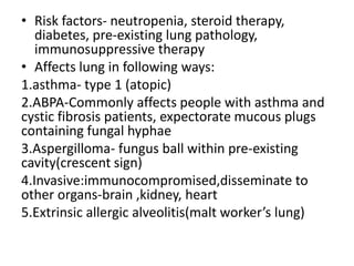 • Risk factors- neutropenia, steroid therapy,
diabetes, pre-existing lung pathology,
immunosuppressive therapy
• Affects lung in following ways:
1.asthma- type 1 (atopic)
2.ABPA-Commonly affects people with asthma and
cystic fibrosis patients, expectorate mucous plugs
containing fungal hyphae
3.Aspergilloma- fungus ball within pre-existing
cavity(crescent sign)
4.Invasive:immunocompromised,disseminate to
other organs-brain ,kidney, heart
5.Extrinsic allergic alveolitis(malt worker’s lung)
 