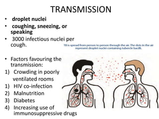TRANSMISSION
• droplet nuclei
• coughing, sneezing, or
speaking
• 3000 infectious nuclei per
cough.
• Factors favouring the
transmission:
1) Crowding in poorly
ventilated rooms
1) HIV co-infection
2) Malnutrition
3) Diabetes
4) Increasing use of
immunosuppressive drugs
 