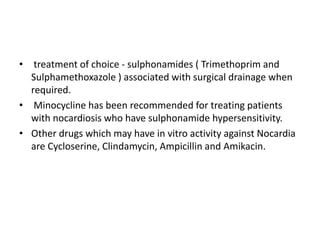 • treatment of choice - sulphonamides ( Trimethoprim and
Sulphamethoxazole ) associated with surgical drainage when
required.
• Minocycline has been recommended for treating patients
with nocardiosis who have sulphonamide hypersensitivity.
• Other drugs which may have in vitro activity against Nocardia
are Cycloserine, Clindamycin, Ampicillin and Amikacin.
 