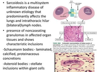 • Sarcoidosis is a multisystem
inflammatory disease of
unknown etiology that
predominantly affects the
lungs and intrathoracic hilar
(bilateral)lymph nodes.
• presence of noncaseating
granulomas in affected organ
tissues and shows
characteristic inclusions
-Schaumann bodies:- laminated,
calcified, proteinaceous
concretions
-Asteroid bodies :-stellate
inclusions within giant cells
 