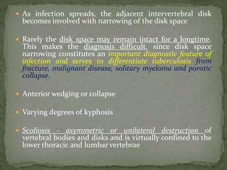  As infection spreads, the adjacent intervertebral disk
becomes involved with narrowing of the disk space
 Rarely the disk space may remain intact for a longtime.
This makes the diagnosis difficult, since disk space
narrowing constitutes an important diagnostic feature of
infection and serves to differentiate tuberculosis from
fracture, malignant disease, solitary myeloma and porotic
collapse.
 Anterior wedging or collapse
 Varying degrees of kyphosis
 Scoliosis - asymmetric or unilateral destruction of
vertebral bodies and disks and is virtually confined to the
lower thoracic and lumbar vertebrae
 