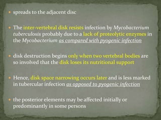  spreads to the adjacent disc
 The inter-vertebral disk resists infection by Mycobacterium
tuberculosis probably due to a lack of proteolytic enzymes in
the Mycobacterium as compared with pyogenic infection
 disk destruction begins only when two vertebral bodies are
so involved that the disk loses its nutritional support
 Hence, disk space narrowing occurs later and is less marked
in tubercular infection as opposed to pyogenic infection
 the posterior elements may be affected initially or
predominantly in some persons
 