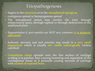  begins in the synovium or in the metaphyseal spongiosa
 contiguous spread or hematogenous spread
 The metaphyseal lesion may involve the joint through
subperiosteal space, through capsule or through destruction of the
epiphyseal plate
 Sequestration & peri-osteitis are NOT very common (c/w pyogenic
infections)
 Ischemic necrosis and end arteritis may result in a very small
sequestrum which is usually not visible radiologically (unless
calcified)
 Granulation tissue spreads onto the free surface of cartilage
eroding it in patches, later causing loosening and separation of the
cartilaginous tissue as it proceeds causing necrosis of cartilage
with erosion of exposed bone.
 