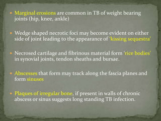  Marginal erosions are common in TB of weight bearing
joints (hip, knee, ankle)
 Wedge shaped necrotic foci may become evident on either
side of joint leading to the appearance of ‘kissing sequestra’
 Necrosed cartilage and fibrinous material form ‘rice bodies’
in synovial joints, tendon sheaths and bursae.
 Abscesses that form may track along the fascia planes and
form sinuses
 Plaques of irregular bone, if present in walls of chronic
abscess or sinus suggests long standing TB infection.
 