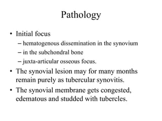 Pathology
• Initial focus
– hematogenous dissemination in the synovium
– in the subchondral bone
– juxta-articular osseous focus.
• The synovial lesion may for many months
remain purely as tubercular synovitis.
• The synovial membrane gets congested,
edematous and studded with tubercles.
 