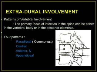 • Patterns of Vertebral Involvement
         • The primary focus of infection in the spine can be either
  in the vertebral body or in the posterior elements.
•
• Four patterns :
            Paradiscal ( Commonest)
            Central
            Anterior, &
            Appendiceal
 
