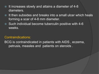  It increases slowly and attains a diameter of 4-8
diameters.
 It then subsides and breaks into a small ulcer which heals
forming a scar of 4-8 mm diameter.
 Such individual become tuberculin positive with 4-6
weeks.
Contraindications:
BCG is contraindicated in patients with AIDS , eczema,
petrusis, measles and patients on steroids .
 
