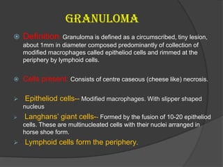 Granuloma
 Definition: Granuloma is defined as a circumscribed, tiny lesion,
about 1mm in diameter composed predominantly of collection of
modified macrophages called epitheliod cells and rimmed at the
periphery by lymphoid cells.
 Cells present: Consists of centre caseous (cheese like) necrosis.
 Epitheliod cells-- Modified macrophages. With slipper shaped
nucleus
 Langhans’ giant cells-- Formed by the fusion of 10-20 epitheliod
cells. These are multinucleated cells with their nuclei arranged in
horse shoe form.
 Lymphoid cells form the periphery.
 
