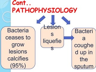Cont..
PATHOPHYSIOLOGY
Bacteria
ceases to
grow
lesions
calcifies
(95%)
Lesion
s
liquefie
s
Bacteri
a
coughe
d up in
the
sp...