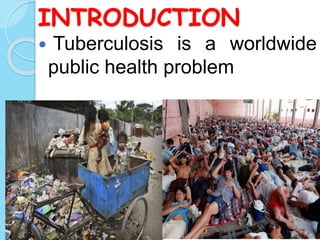 INTRODUCTION
 Tuberculosis is a worldwide
public health problem
 