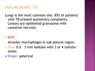 Lungs is the most common site. 85% of patients
with TB present pulmonary complaints.
Lesions are epitheliod granuloma with
caseation necrosis.
 SITE :
Alveolar macrophages in sub pleural region.
• Size- 0.5 – 3 mm nodules with 3 or 4 cellular
zones.
 Shape- spherical
 