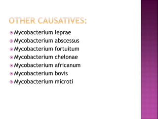  Mycobacterium leprae
 Mycobacterium abscessus
 Mycobacterium fortuitum
 Mycobacterium chelonae
 Mycobacterium africanum
 Mycobacterium bovis
 Mycobacterium microti
 