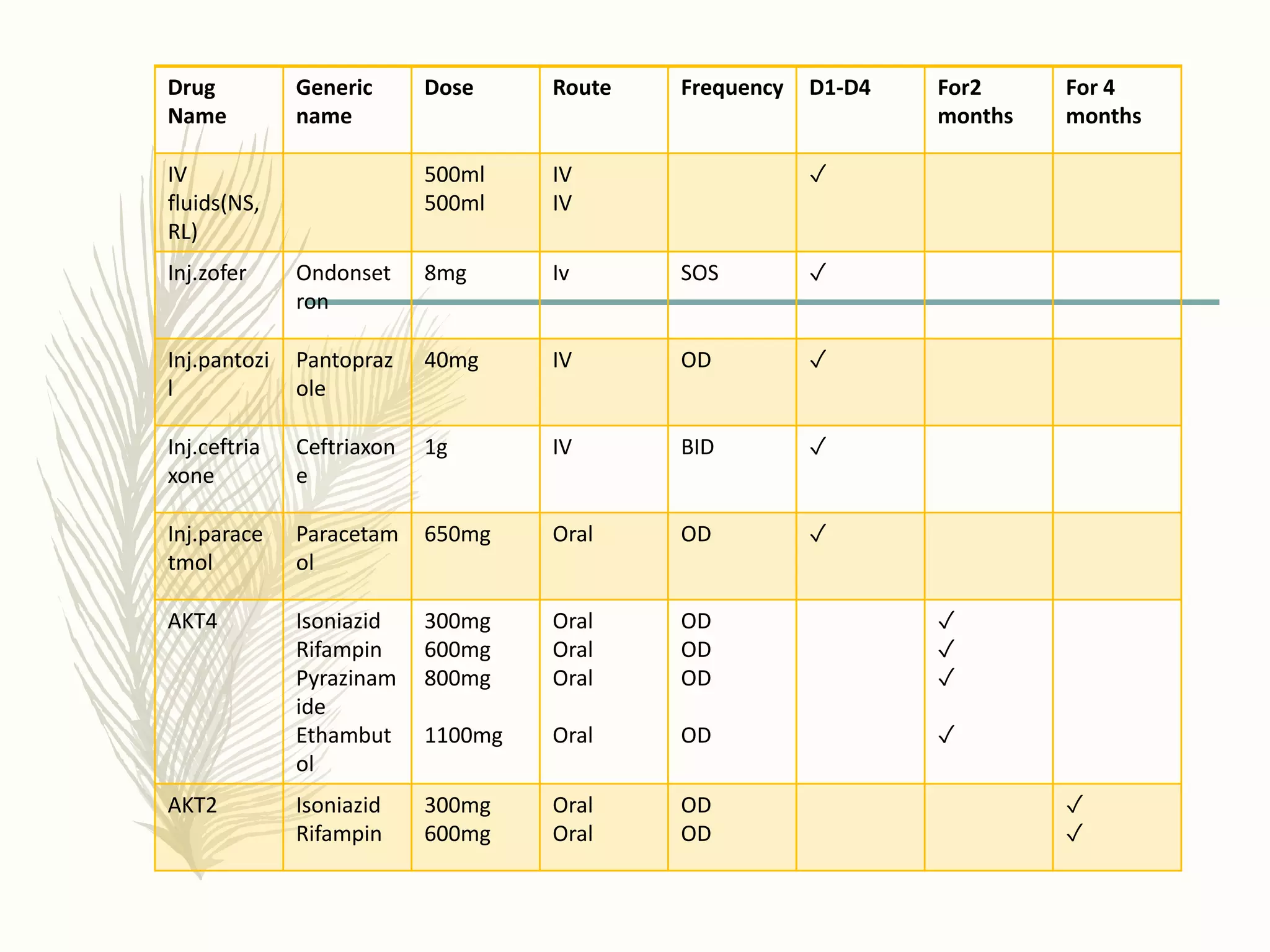 Tuberculosis ppt | PPTX