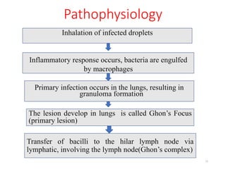 Pathophysiology
Primary infection occurs in the lungs, resulting in
granuloma formation
11
Inhalation of infected droplets
Inflammatory response occurs, bacteria are engulfed
by macrophages
The lesion develop in lungs is called Ghon’s Focus
(primary lesion)
Transfer of bacilli to the hilar lymph node via
lymphatic, involving the lymph node(Ghon’s complex)
 