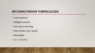MYCOBACTERIUM TUBERCULOSIS
• Gram positive
• Obligate aerobe
• Non-spore-forming
• Non-motile rods / bacilli
• Mesophile
• 0.2 – 0.6 um3
 