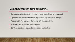 MYCOBACTERIUM TUBERCULOSIS…
• Slow generation time 15 – 20 hours – may contribute to virulence)
• Lipid-rich cell wall contains mycolytic acids – 50% of dead weight
• Responsible for many of the bacteria’s characteristics
• Acid- fast (retains acidic substances)
• Confers resistance e.g. detergents and antibiotics
 