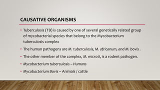 CAUSATIVE ORGANISMS
• Tuberculosis (TB) is caused by one of several genetically related group
of mycobacterial species that belong to the Mycobacterium
tuberculosis complex
• The human pathogens are M. tuberculosis, M. africanum, and M. bovis .
• The other member of the complex, M. microti, is a rodent pathogen.
• Mycobacterium tuberculosis – Humans
• Mycobacterium Bovis – Animals / cattle
 