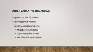 OTHER CAUSATIVE ORGANISMS
• Mycobacterium africanum
• Mycobacterium microti
• Non-Mycobacterium Genus
• Mycobacterium leprae
• Mycobacterium avium
• Mycobacterium asiaticum
 