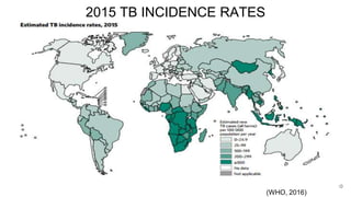 2015 TB INCIDENCE RATES
10
(WHO, 2016)
 