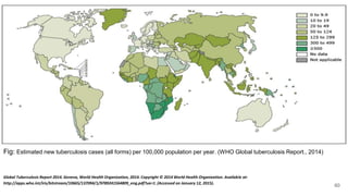 Fig: Estimated new tuberculosis cases (all forms) per 100,000 population per year. (WHO Global tuberculosis Report., 2014)
Global Tuberculosis Report 2014. Geneva, World Health Organization, 2014. Copyright © 2014 World Health Organization. Available at:
http://apps.who.int/iris/bitstream/10665/137094/1/9789241564809_eng.pdf?ua=1. (Accessed on January 12, 2015).
60
 