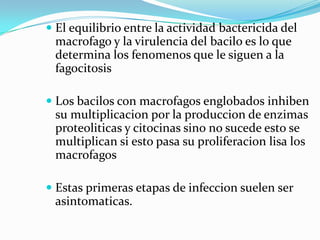  El equilibrio entre la actividad bactericida del
  macrofago y la virulencia del bacilo es lo que
  determina los fenomenos que le siguen a la
  fagocitosis

 Los bacilos con macrofagos englobados inhiben
  su multiplicacion por la produccion de enzimas
  proteoliticas y citocinas sino no sucede esto se
 multiplican si esto pasa su proliferacion lisa los
 macrofagos

 Estas primeras etapas de infeccion suelen ser
  asintomaticas.
 