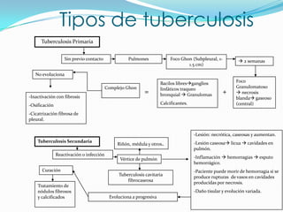 Tipos de tuberculosis
      Tuberculosis Primaria


                   Sin previo contacto              Pulmones              Foco Ghon (Subpleural, 1-          2 semanas
                                                                                  1.5 cm)

   No evoluciona
                                                                     Bacilos libresganglios               Foco
                                          Complejo Ghon              linfáticos traqueo                    Granulomatoso
                                                            =        bronquial  Granulomas
                                                                                                      +     necrosis
-Inactivación con fibrosis                                                                                 blanda gaseoso
-Osificación                                                         Calcificantes.                        (central)

-Cicatrización fibrosa de
pleural.


                                                                                      -Lesión: necrótica, caseosas y aumentan.
    Tuberculosis Secundaria
                                               Riñón, médula y otros.                 -Lesión caseosa licua  cavidades en
                                                                                      pulmón.
               Reactivación o infección
                                                Vértice de pulmón                     -Inflamación  hemorragias  esputo
                                                                                      hemorrágico.
      Curación                                                                        -Paciente puede morir de hemorragia si se
                                               Tuberculosis cavitaria                 produce rupturas de vasos en cavidades
                                                   fibrocaseosa
                                                                                      producidas por necrosis.
    Tratamiento de
    nódulos fibrosos                                                                  -Daño tisular y evolución variada.
    y calcificados                         Evoluciona a progresiva
 